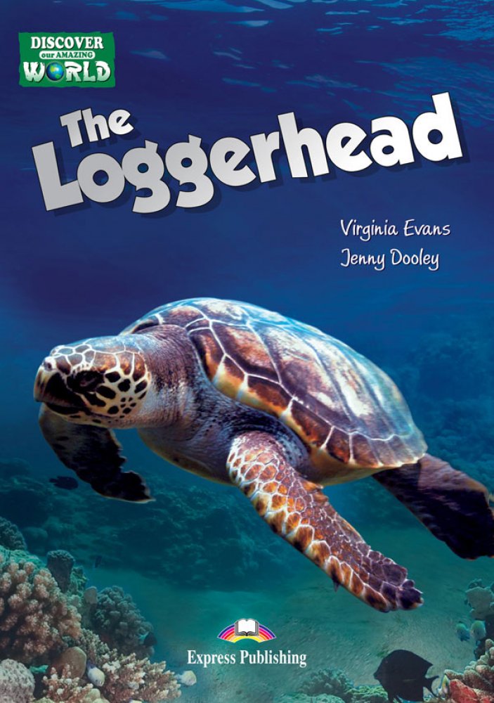 LOGGERHEAD 01